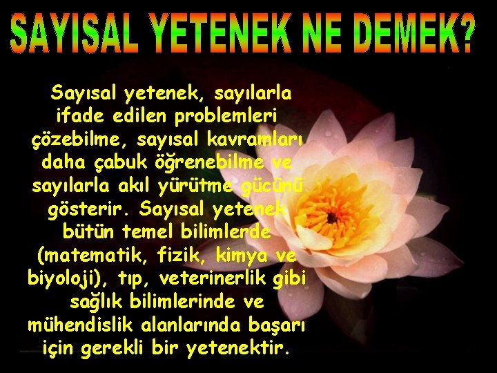 Sayısal yetenek, sayılarla ifade edilen problemleri çözebilme, sayısal kavramları daha çabuk öğrenebilme ve sayılarla