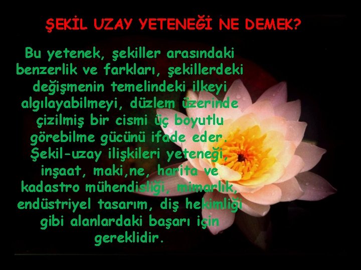 ŞEKİL UZAY YETENEĞİ NE DEMEK? Bu yetenek, şekiller arasındaki benzerlik ve farkları, şekillerdeki değişmenin