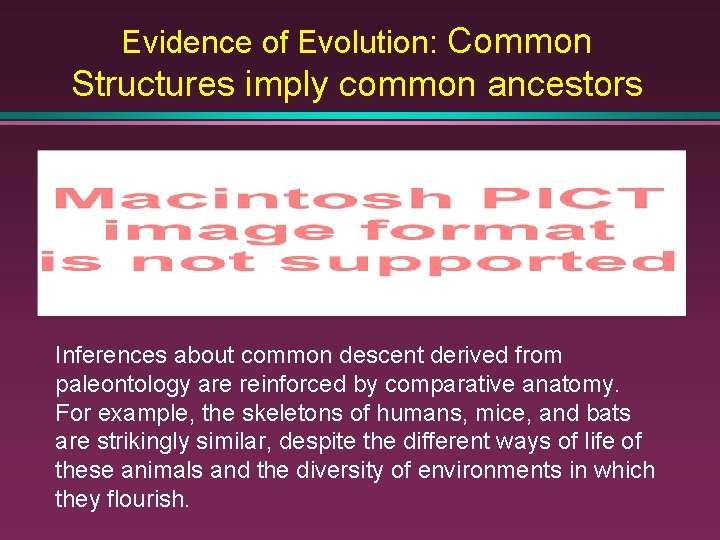 Evidence of Evolution: Common Structures imply common ancestors Inferences about common descent derived from