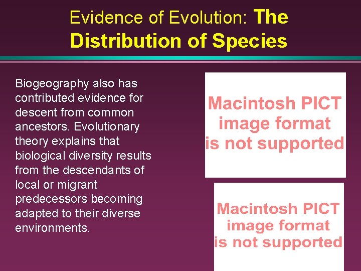 Evidence of Evolution: The Distribution of Species Biogeography also has contributed evidence for descent