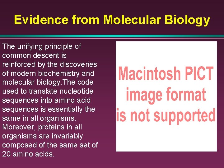 Evidence from Molecular Biology The unifying principle of common descent is reinforced by the