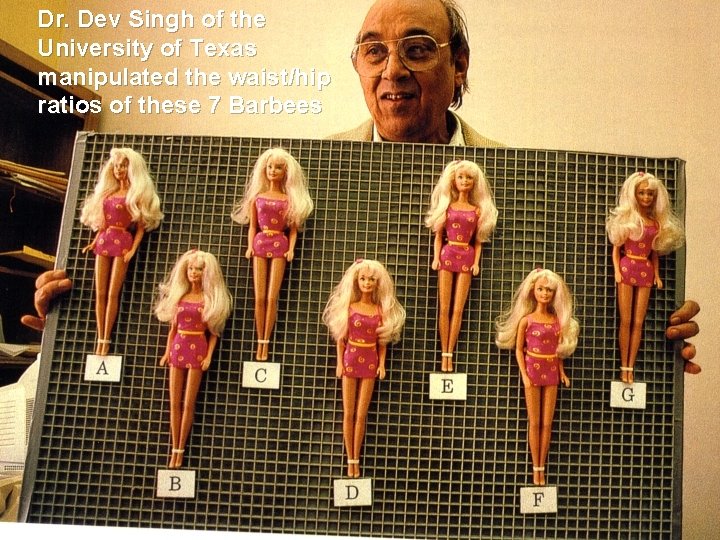 Dr. Dev Singh of the University of Texas manipulated the waist/hip ratios of these