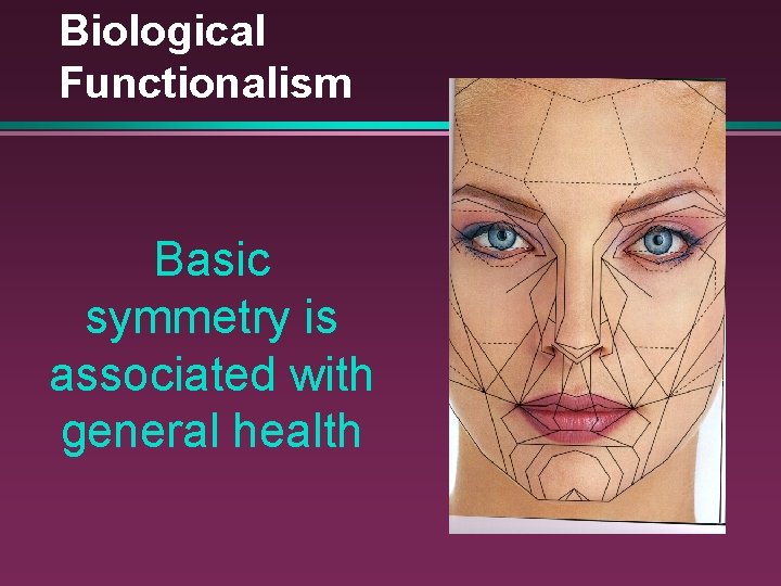 Biological Functionalism Basic symmetry is associated with general health 