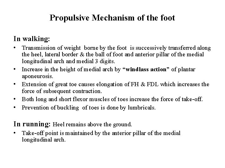Propulsive Mechanism of the foot In walking: • Transmission of weight borne by the