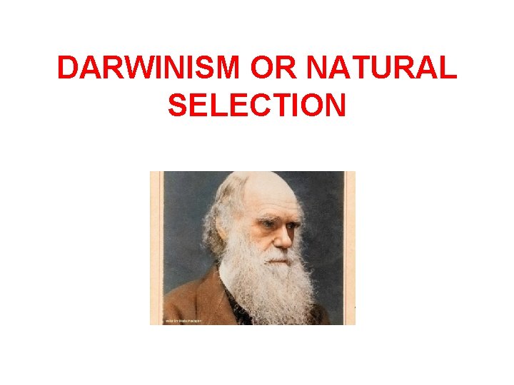 DARWINISM OR NATURAL SELECTION 