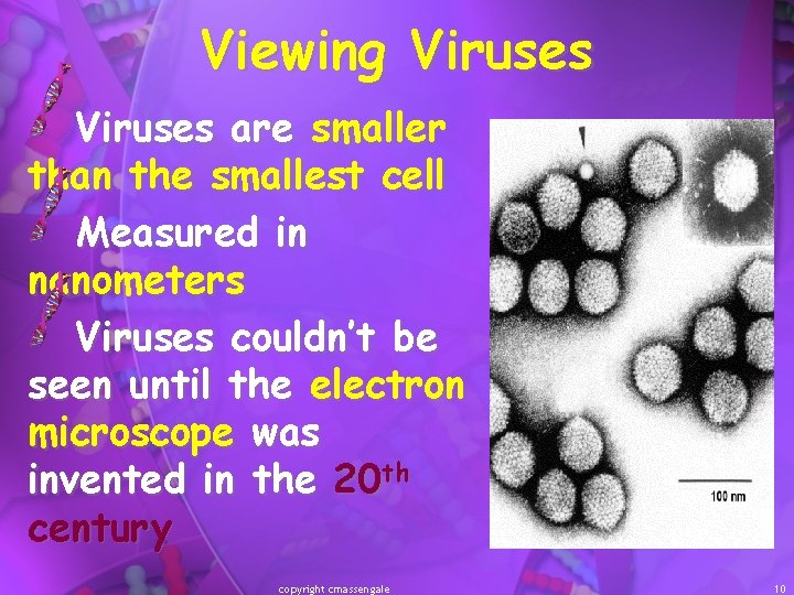 Viewing Viruses are smaller than the smallest cell Measured in nanometers Viruses couldn’t be