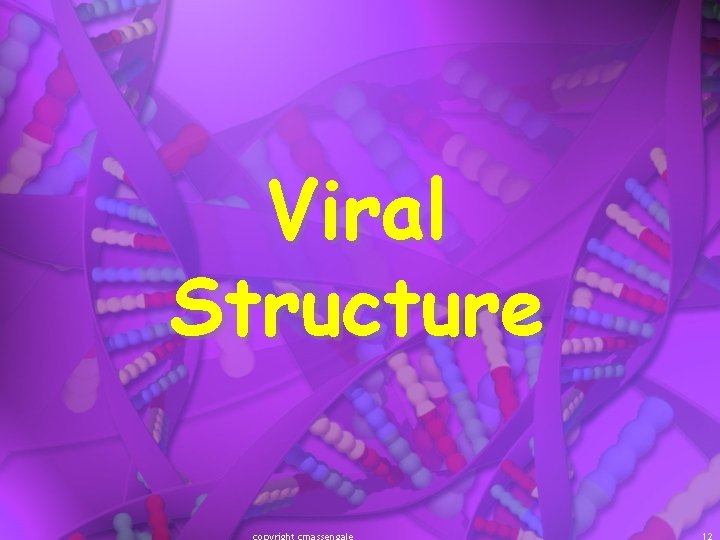 Viral Structure 