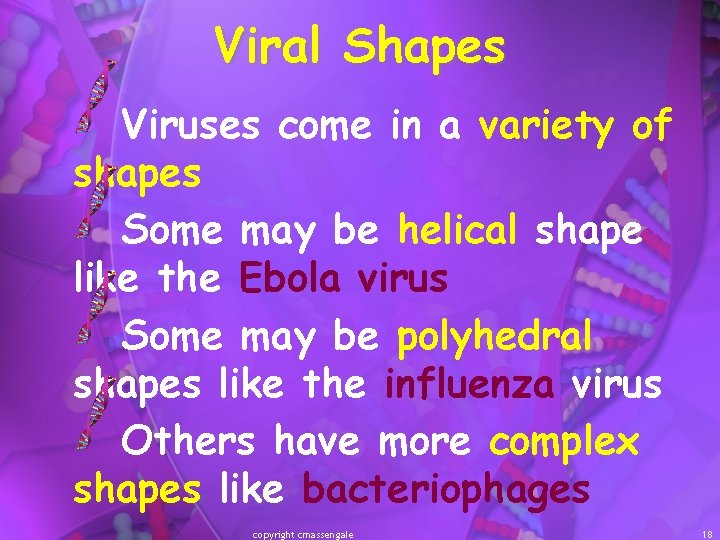 Viral Shapes Viruses come in a variety of shapes Some may be helical shape