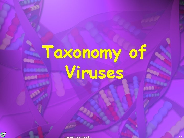 Taxonomy of Viruses 