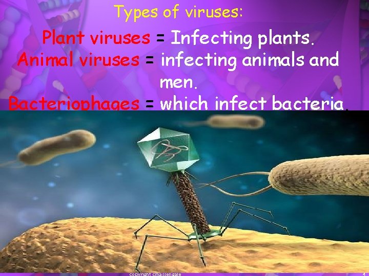 Types of viruses: Plant viruses = Infecting plants. Animal viruses = infecting animals and