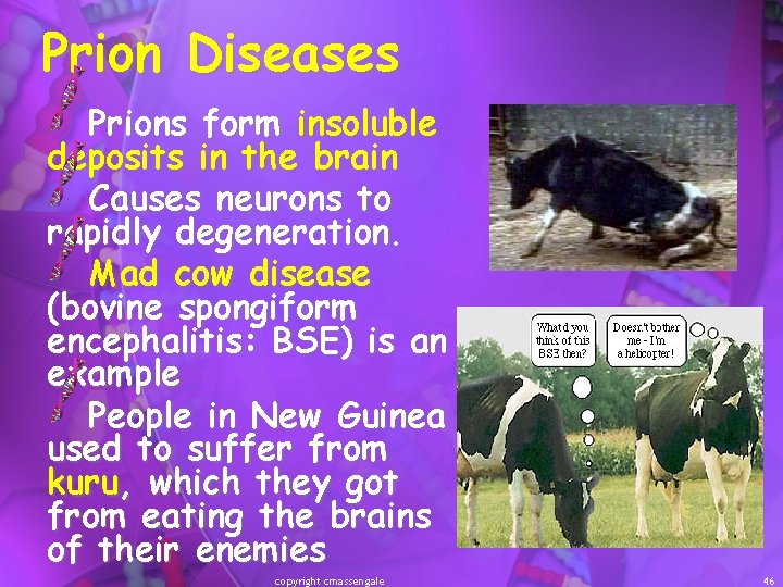 Prion Diseases Prions form insoluble deposits in the brain Causes neurons to rapidly degeneration.