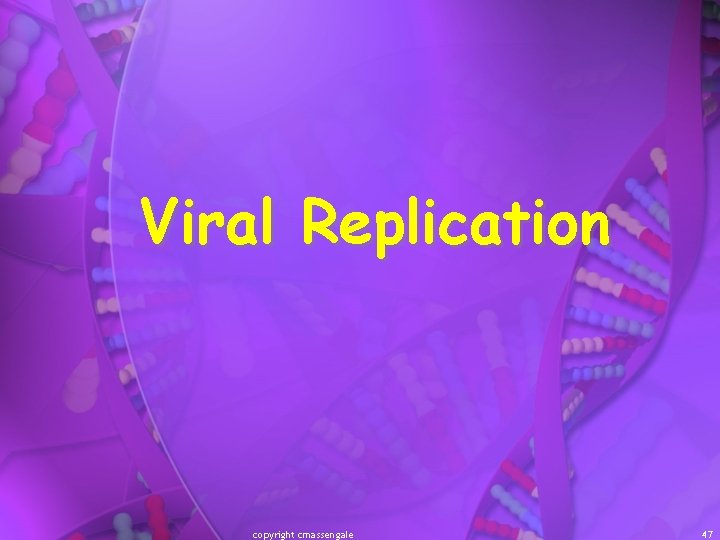 Viral Replication copyright cmassengale 47 