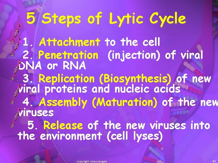 5 Steps of Lytic Cycle 1. Attachment to the cell 2. Penetration (injection) of
