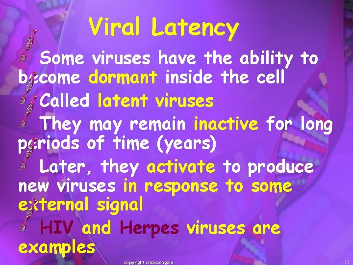 Viral Latency Some viruses have the ability to become dormant inside the cell Called