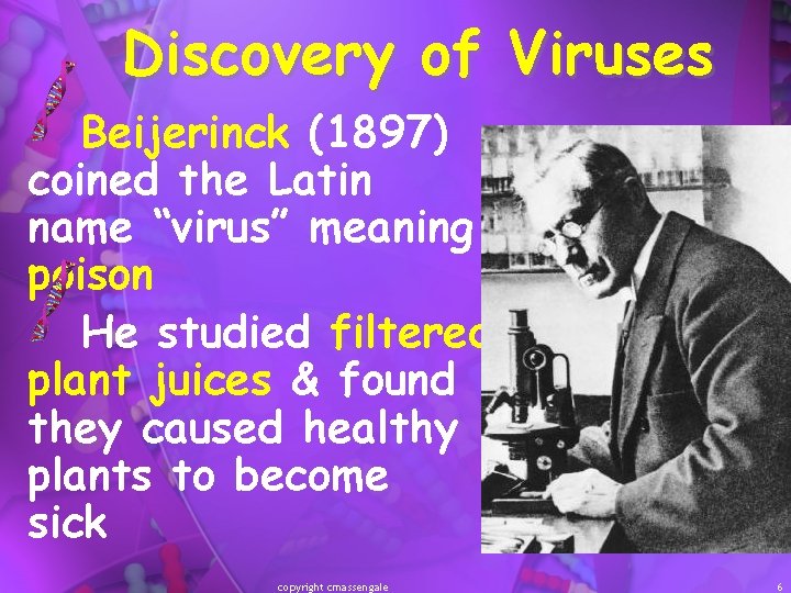 Discovery of Viruses Beijerinck (1897) coined the Latin name “virus” meaning poison He studied