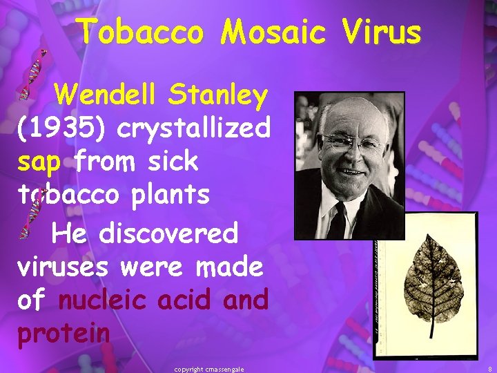 Tobacco Mosaic Virus Wendell Stanley (1935) crystallized sap from sick tobacco plants He discovered