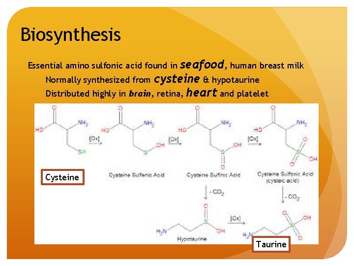 Biosynthesis seafood, human breast milk Normally synthesized from cysteine & hypotaurine Distributed highly in