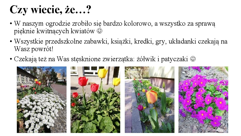 Czy wiecie, że…? • W naszym ogrodzie zrobiło się bardzo kolorowo, a wszystko za