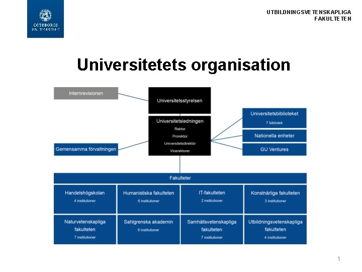 UTBILDNINGSVETENSKAPLIGA FAKULTETEN Universitetets organisation 1 