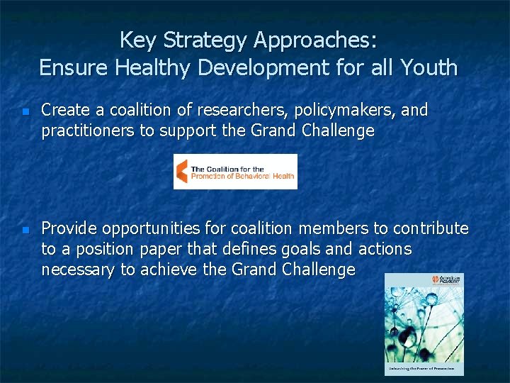 Key Strategy Approaches: Ensure Healthy Development for all Youth Create a coalition of researchers,