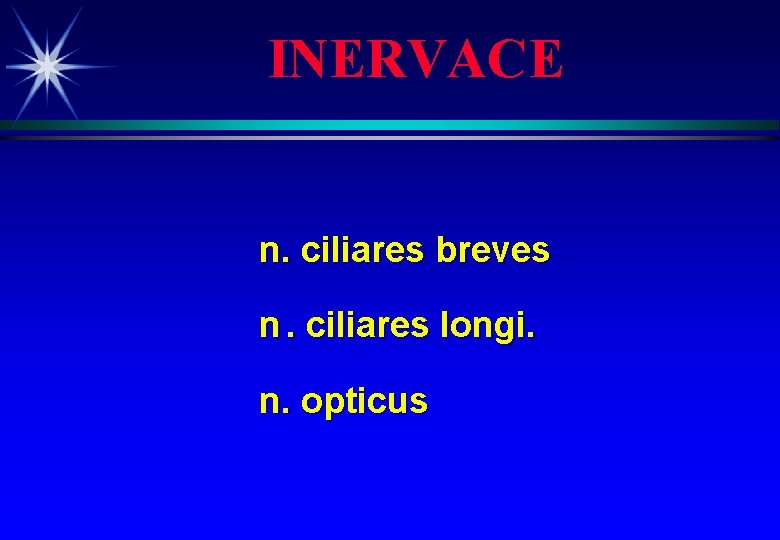 INERVACE n. ciliares breves n. ciliares longi. n. opticus 
