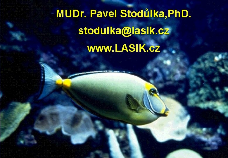 MUDr. Pavel Stodůlka, Ph. D. stodulka@lasik. cz www. LASIK. cz 