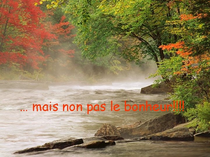 … mais non pas le bonheur!!!! 