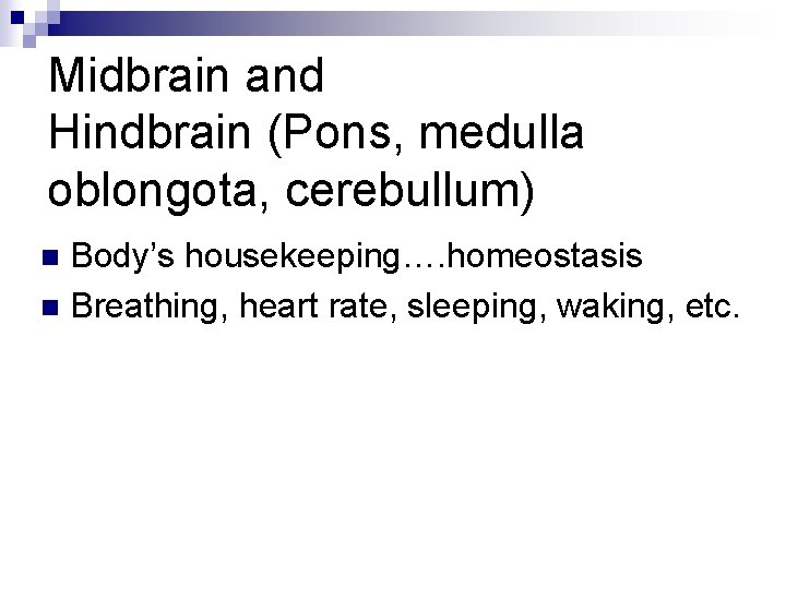 Midbrain and Hindbrain (Pons, medulla oblongota, cerebullum) Body’s housekeeping…. homeostasis n Breathing, heart rate,