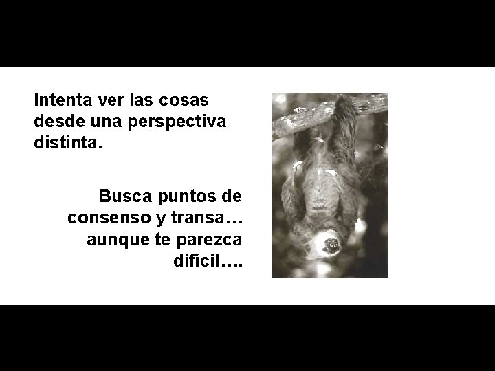 Intenta ver las cosas desde una perspectiva distinta. Busca puntos de consenso y transa…