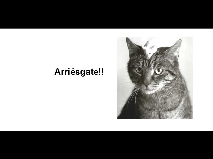 Arriésgate!! 