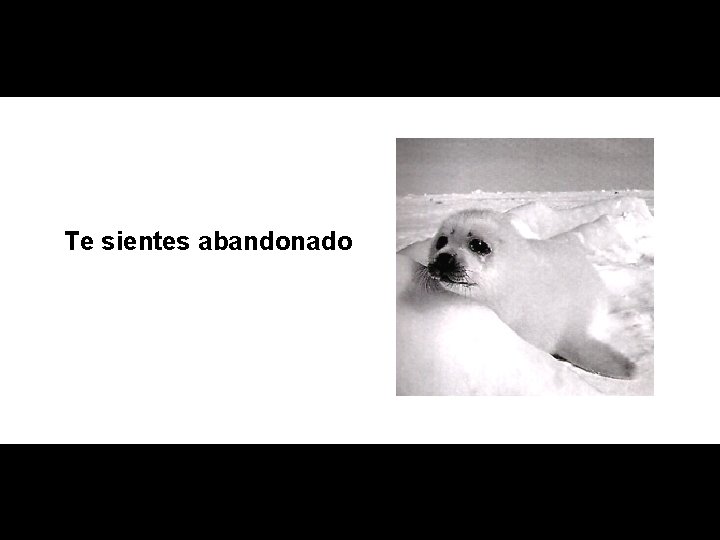 Te sientes abandonado 