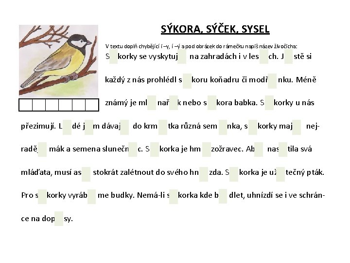 SÝKORA, SÝČEK, SYSEL V textu doplň chybějící i –y, í –ý a pod obrázek