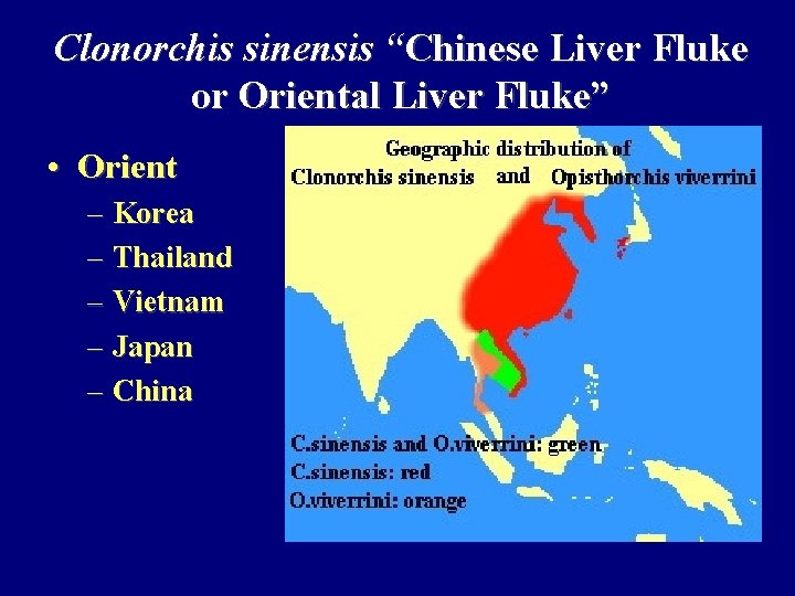 Clonorchis sinensis “Chinese Liver Fluke or Oriental Liver Fluke” • Orient – Korea –