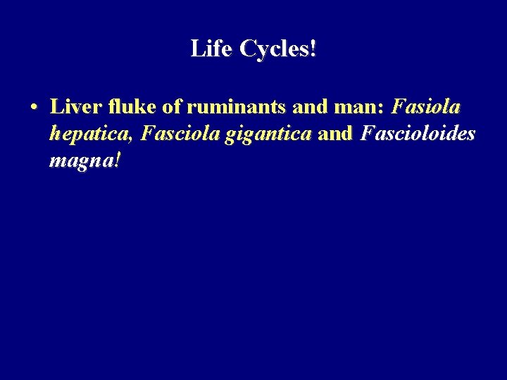 Life Cycles! • Liver fluke of ruminants and man: Fasiola hepatica, Fasciola gigantica and