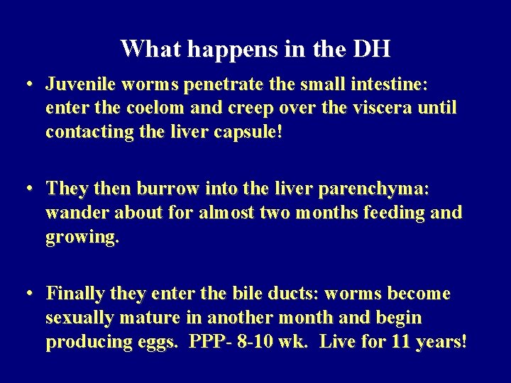 What happens in the DH • Juvenile worms penetrate the small intestine: enter the