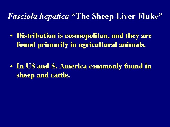 Fasciola hepatica “The Sheep Liver Fluke” • Distribution is cosmopolitan, and they are found