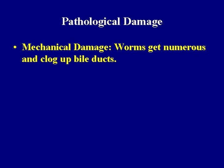 Pathological Damage • Mechanical Damage: Worms get numerous and clog up bile ducts. 