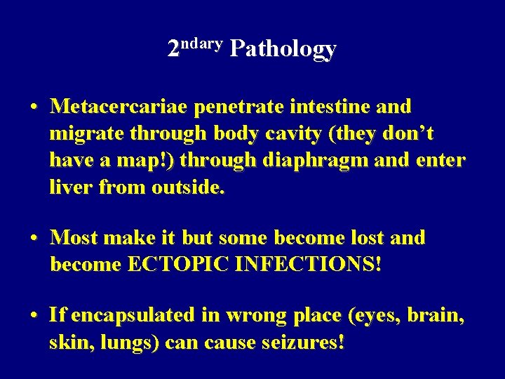 2 ndary Pathology • Metacercariae penetrate intestine and migrate through body cavity (they don’t