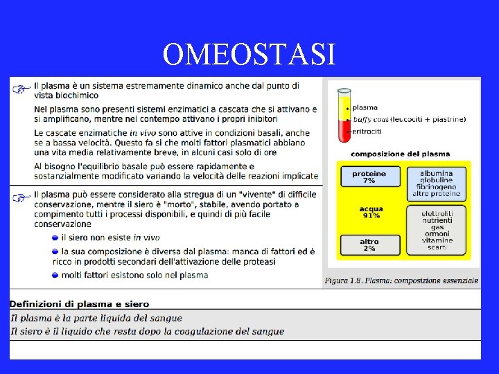 OMEOSTASI 