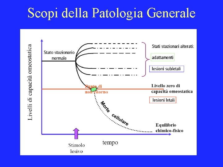 Scopi della Patologia Generale 