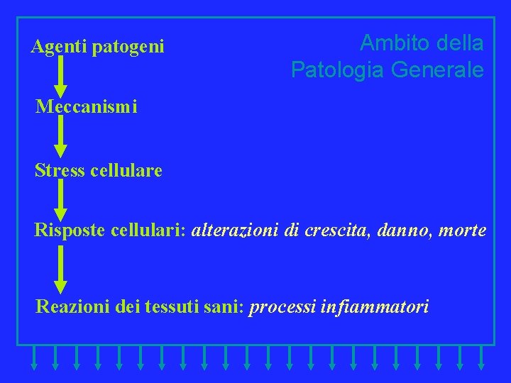 Agenti patogeni Ambito della Patologia Generale Meccanismi Stress cellulare Risposte cellulari: alterazioni di crescita,