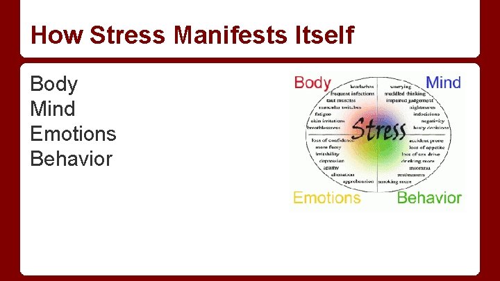 How Stress Manifests Itself Body Mind Emotions Behavior 