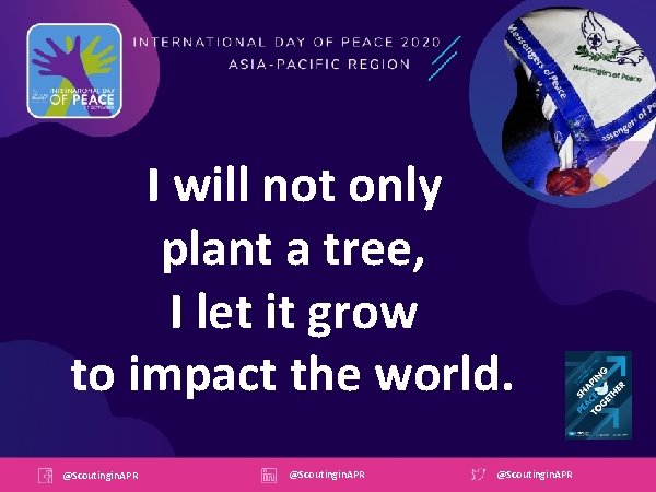 I will not only plant a tree, I let it grow to impact the
