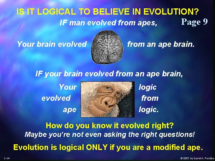 IS IT LOGICAL TO BELIEVE IN EVOLUTION? IF man evolved from apes, Your brain