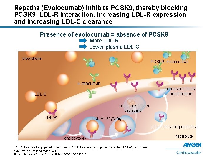 Repatha (Evolocumab) inhibits PCSK 9, thereby blocking PCSK 9–LDL-R interaction, increasing LDL-R expression and