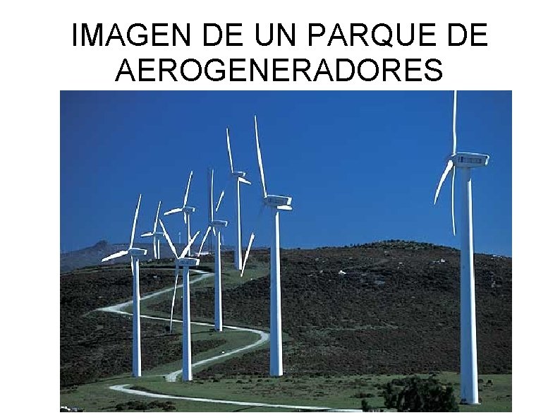 IMAGEN DE UN PARQUE DE AEROGENERADORES 