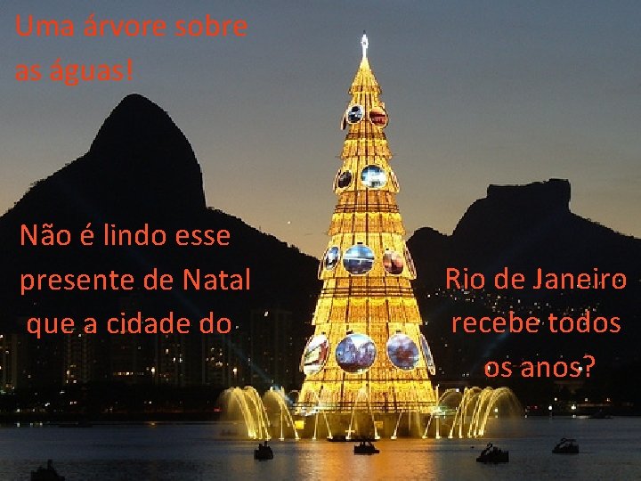 Uma árvore sobre as águas! Não é lindo esse presente de Natal que a