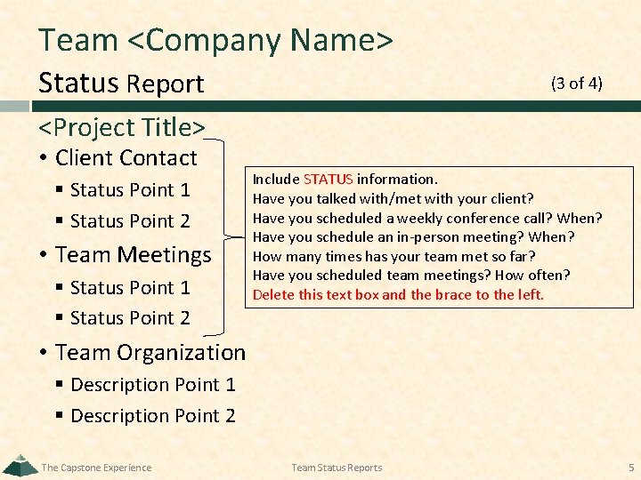 Team <Company Name> Status Report (3 of 4) <Project Title> • Client Contact §