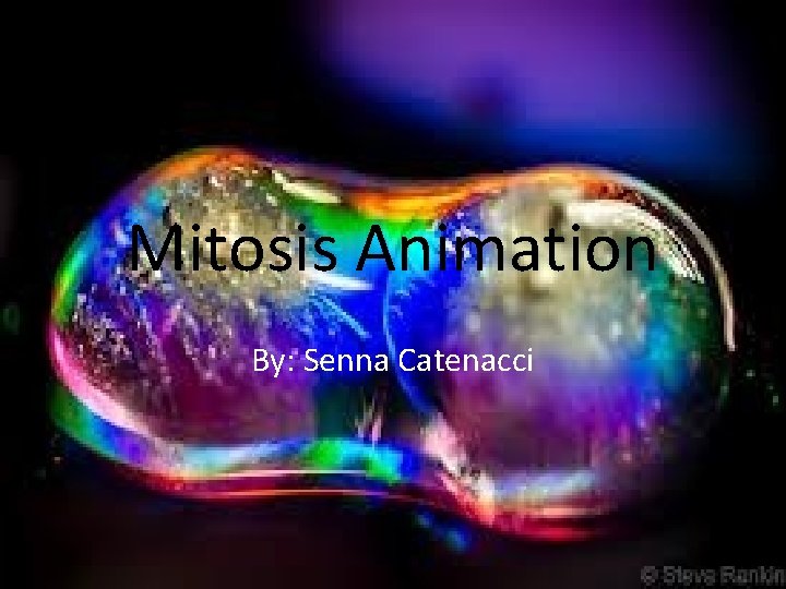 Mitosis Animation By: Senna Catenacci 