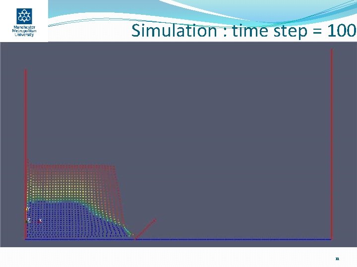 Simulation : time step = 100 11 